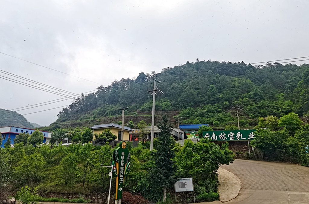 微信图片_20250520110535.jpg